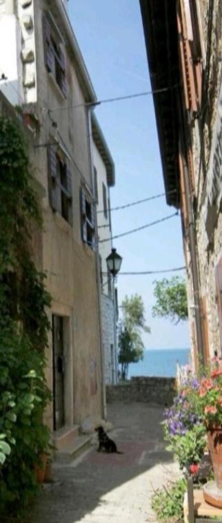 Apartment Giulio - 10Mt To The Beach Rovinj Exterior foto
